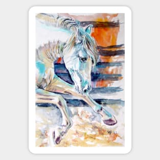 Andalusian horse II Sticker